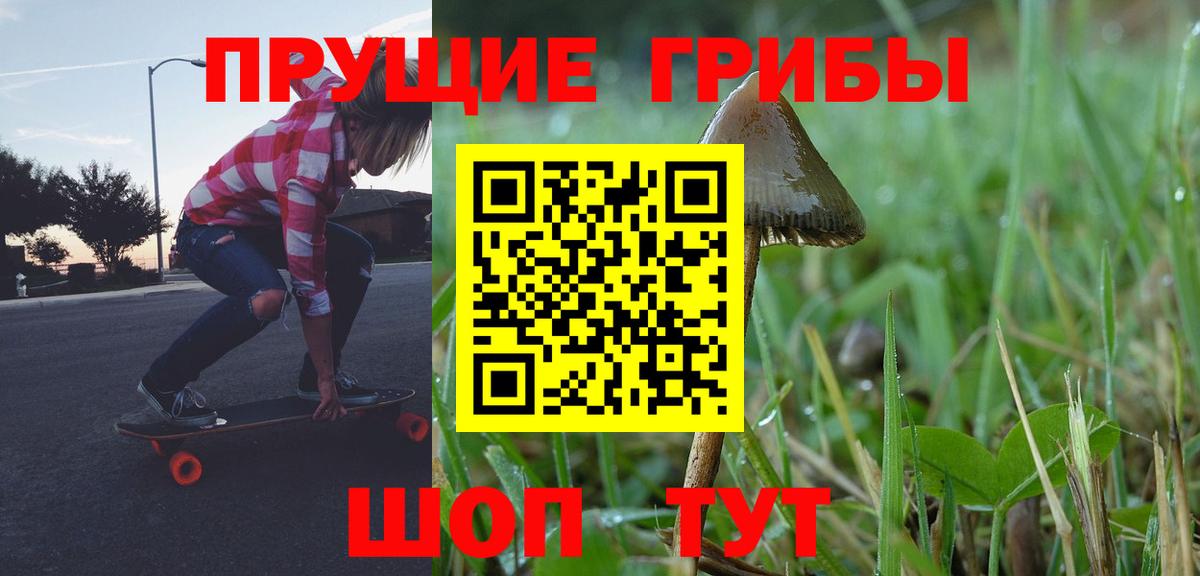 Галлюциногенные грибы Psilocybe Обнинск