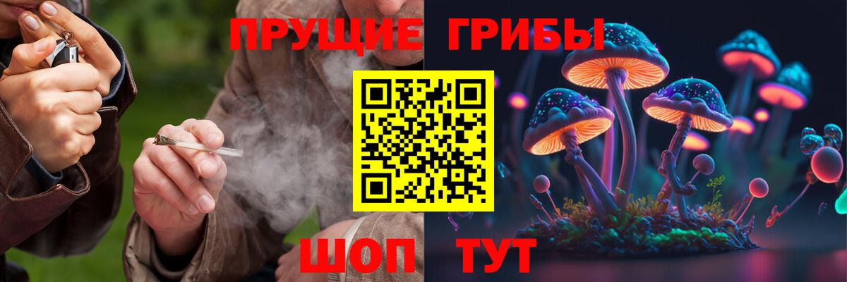 Галлюциногенные грибы Magic Shrooms  Вход с VPN  Обнинск 